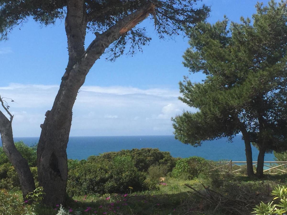 Carvoeiro Sol Seafront Apartman Kültér fotó